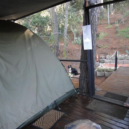 Eagles' Call Cottages And Tent Wildernis Dış mekan fotoğraf