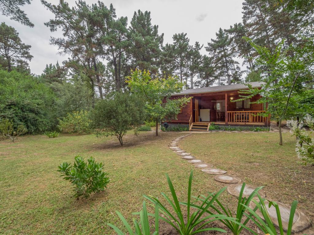 Eagles' Call Cottages And Tent Wildernis Dış mekan fotoğraf