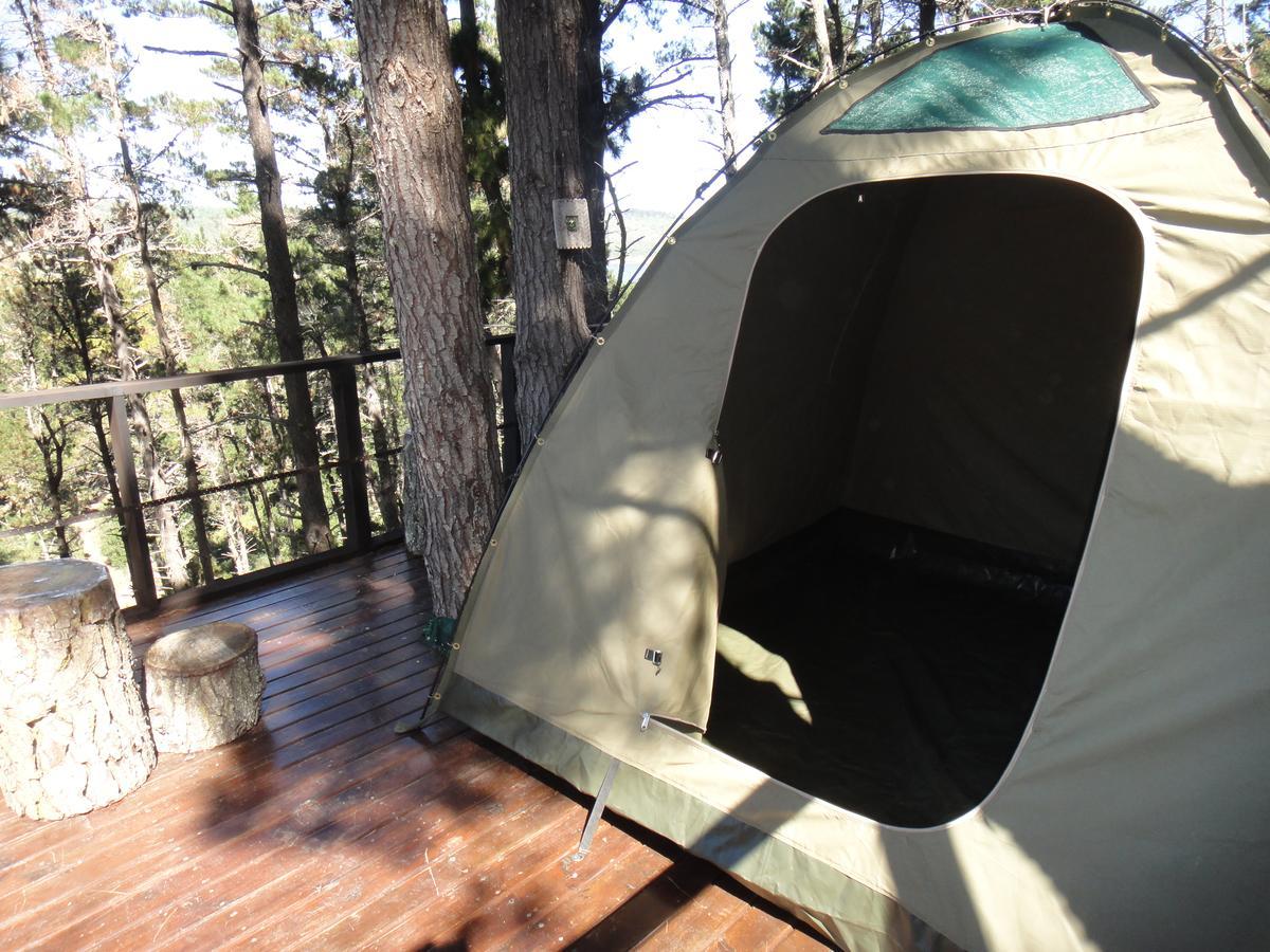 Eagles' Call Cottages And Tent Wildernis Dış mekan fotoğraf