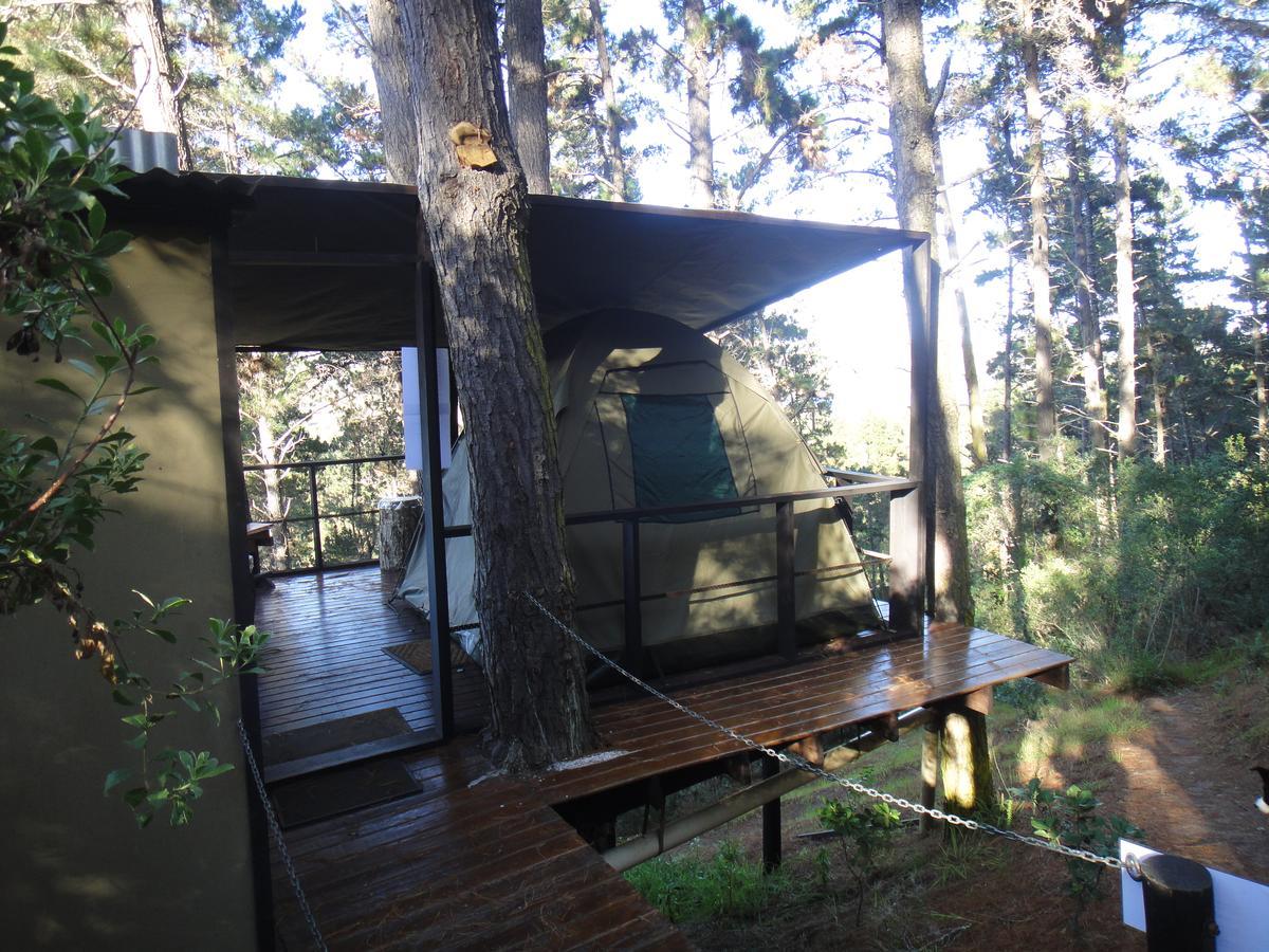 Eagles' Call Cottages And Tent Wildernis Dış mekan fotoğraf