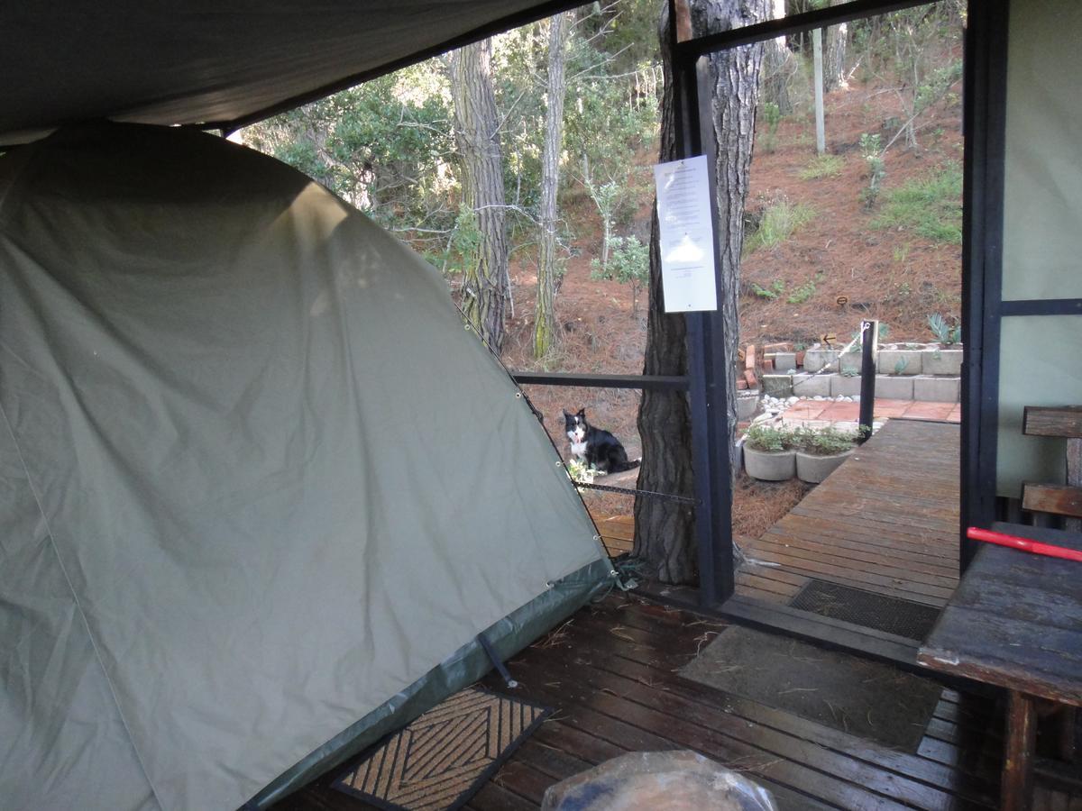 Eagles' Call Cottages And Tent Wildernis Dış mekan fotoğraf
