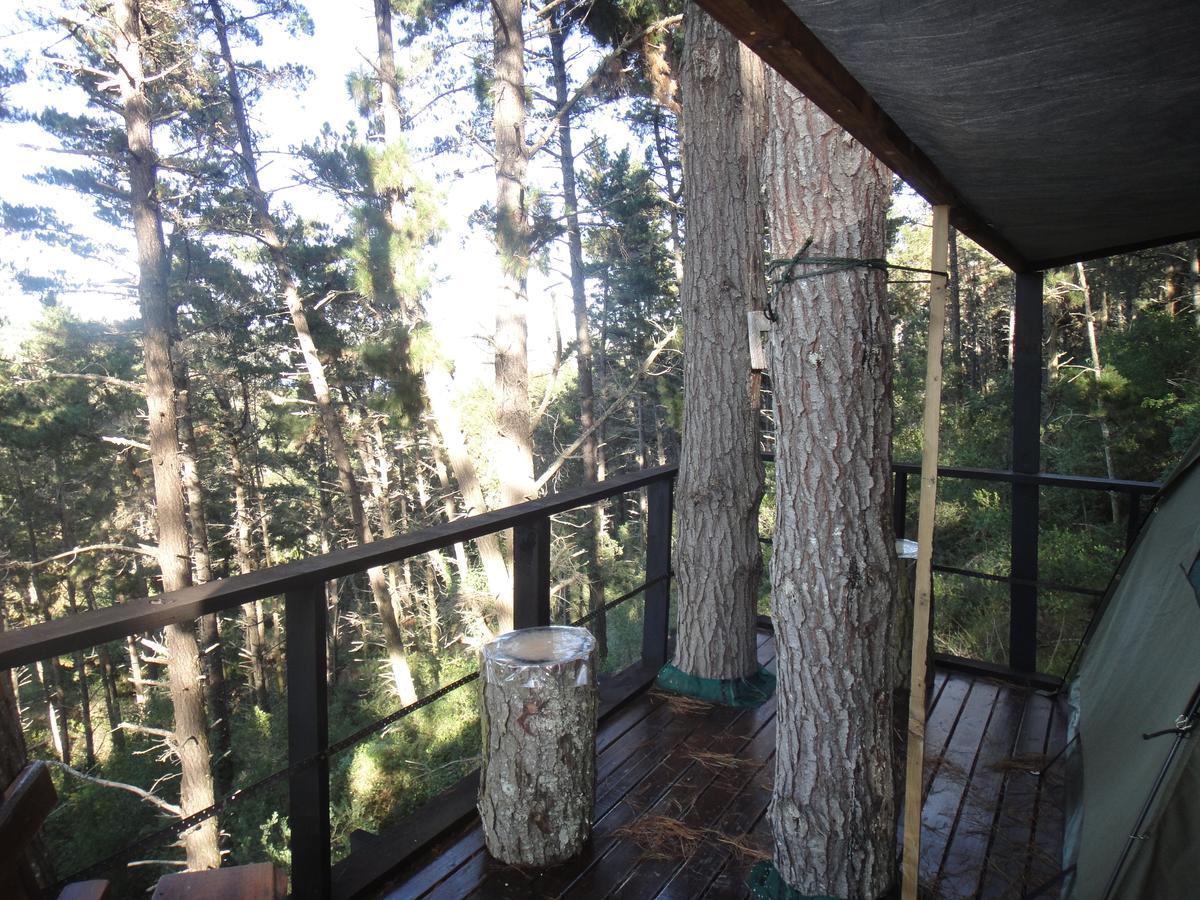 Eagles' Call Cottages And Tent Wildernis Dış mekan fotoğraf